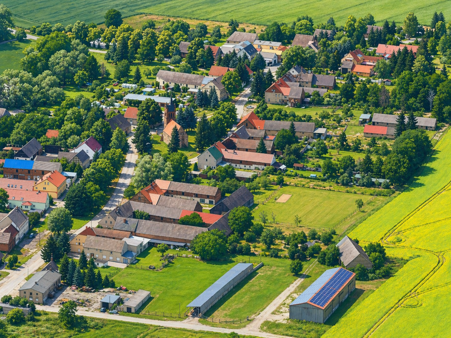 Wiese und Bäume als Symbolbild für natürliche Farben.